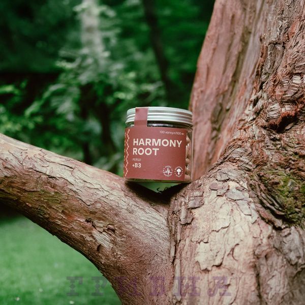 Harmony Root, Рейши+В3, 600мг, 100vcaps K003303 фото