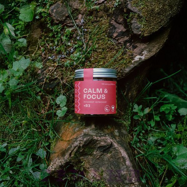 Calm & Focus, Мухомор + B3, 450мг, 140vcaps K003308 фото