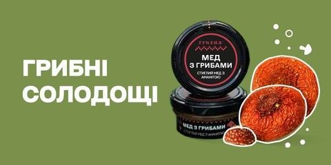 Банер до розділу "Грибні солодощі"